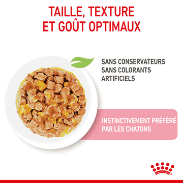 Kitten en gelée - sachet