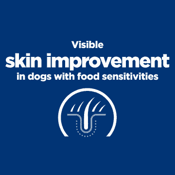Canine - Derm Complete Original - Can