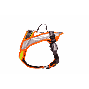 Vary Night, jaune fluo / orange