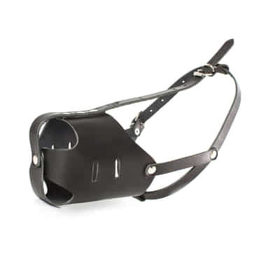 Muselière en cuir fermée