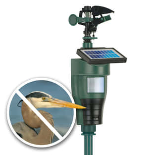 Wasserstrahl-Tierschreck Solarbetrieb