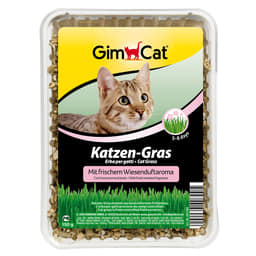 GimCat herbes à chats à l'odeur du pré