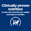 Feline j/d Metabolic + Mobility fresh pouches