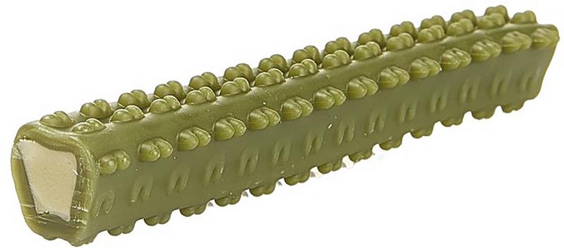 Dental Paste Chew Stick with mint