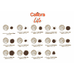 Canine Life Adult Medium Breed Agneau & Riz