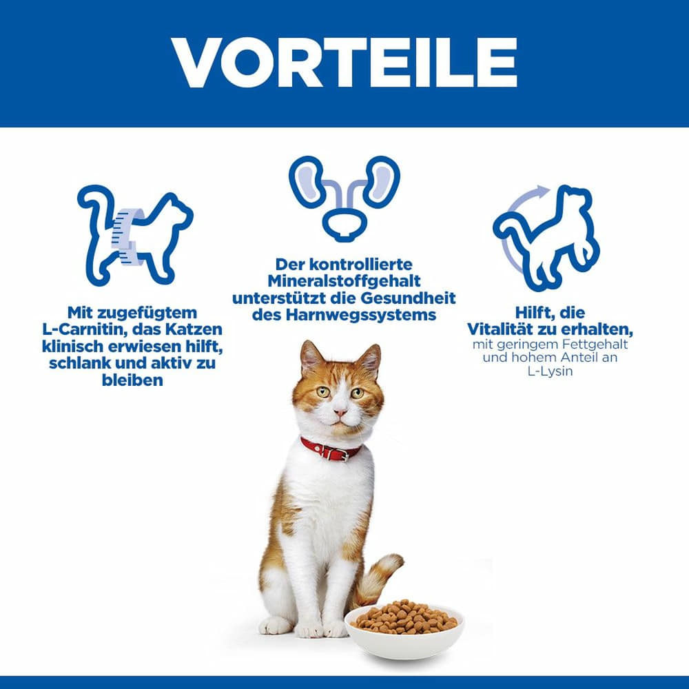 Feline Sterilised Cat Salmon