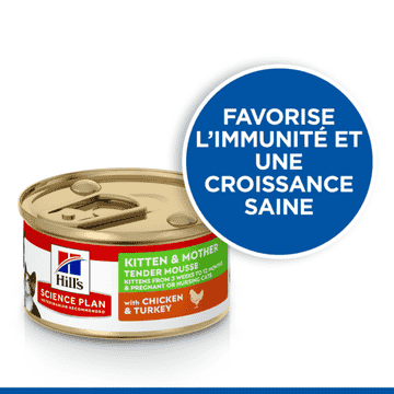 Kitten & Mother Tender Mousse