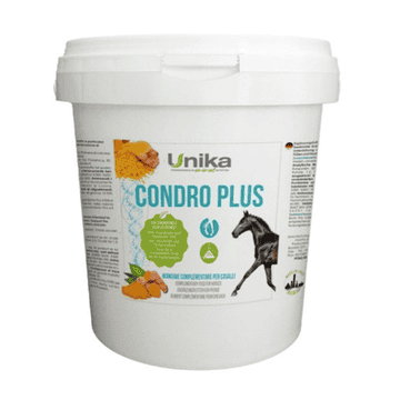 Condro Plus