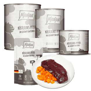 Köstliches Pferd (Cheval & Courge vapeur)
