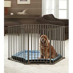 Dog Park De Luxe