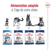 Maxi Adult