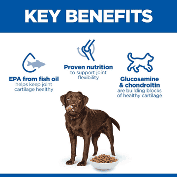Canine Adult Healthy Mobility Large Breed