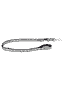 Leine Design Bumble Bee Black