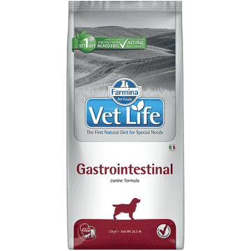 Canine Gastrointestinal