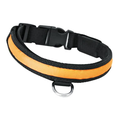 Nylon Blink- und Leuchthalsband