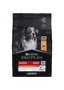 MEDIUM ADULT Everyday Nutrition