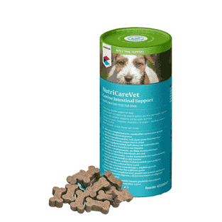 NutriCareVet Intestinal Support Soft Chew