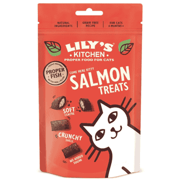Salmon Treats for Cats