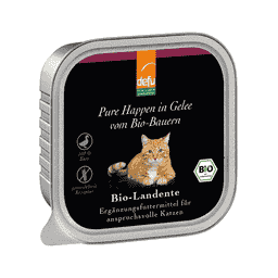 Katze Bio-Landente - Feine Happen in Gelee
