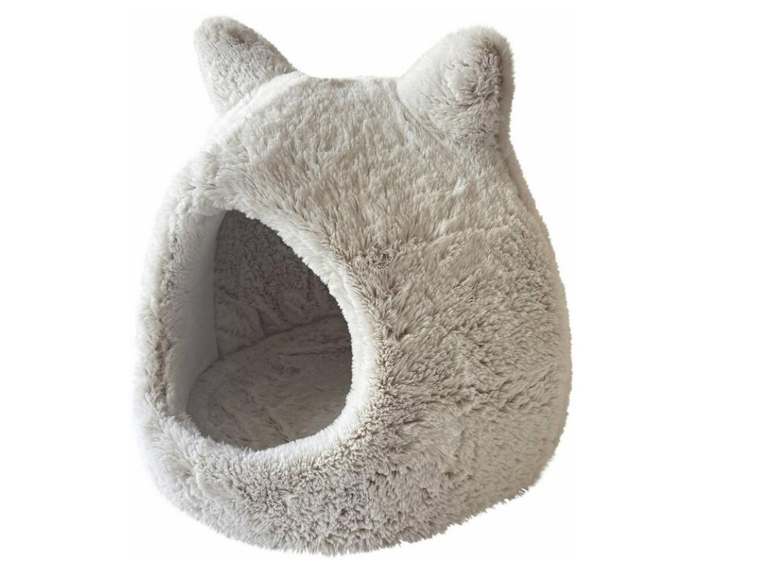 Katzenhöhle Cat
