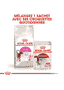 Aroma Exigent
