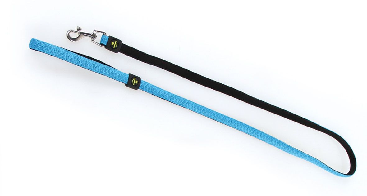 Active Dog city leash