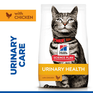 Feline Urinary Health