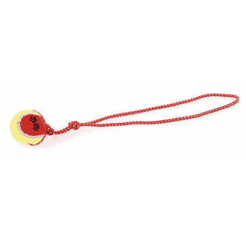 Slingshot ball
