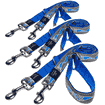 Dog leash Reflective Blue