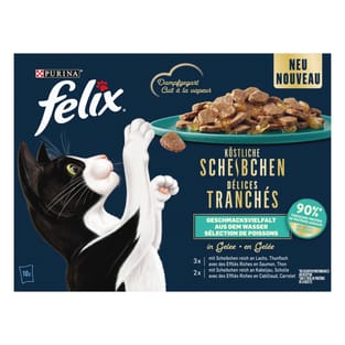 Délices tranchés Sélection de poissons