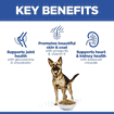 Canine Mature Adult 6+ Large Breed