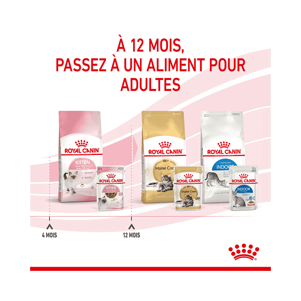 Kitten en sauce - sachet