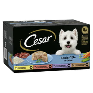 Senior 10+ Multipack