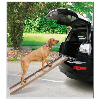 Auto Hunderampe Boarding