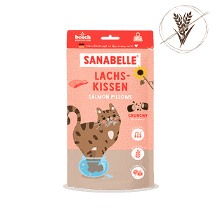 Lachskissen