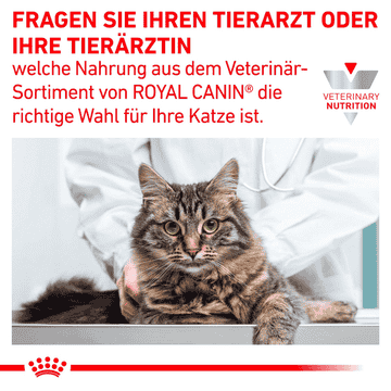 Gastrointestinal Kitten Dose