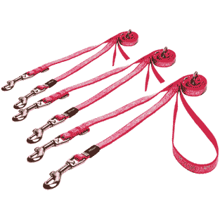 Laisse pour chien Trendy rose