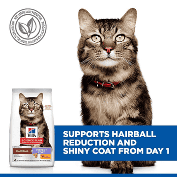 Feline Hairball & Perfect Coat Adult