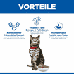 Feline Urinary Health