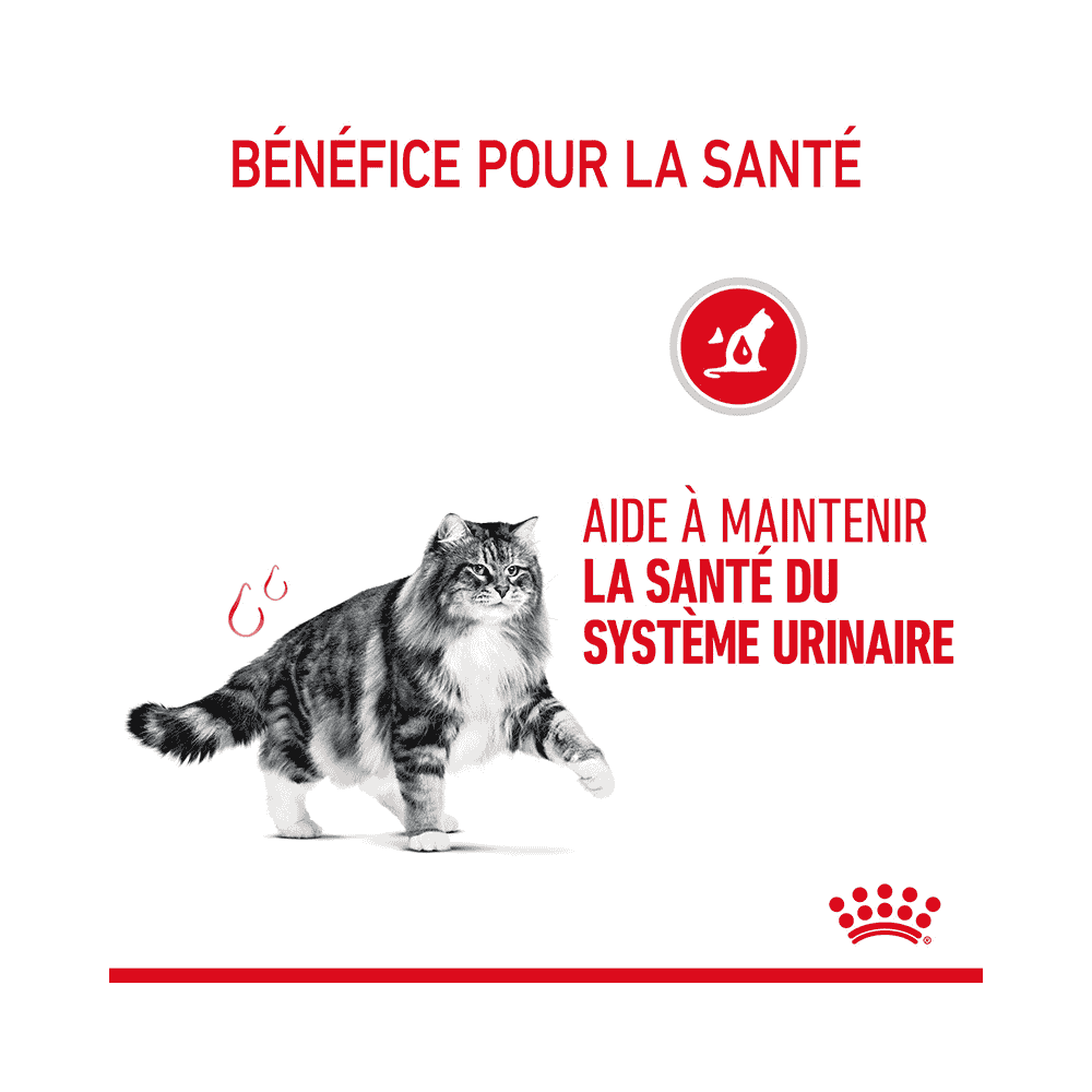Urinary Care Cat