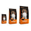 EXPERT + Canine Adult Small Sensitive & Dermasupport Lachs