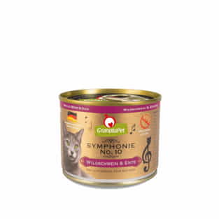 Chat - Symphonie No. 10 Sanglier & Canard