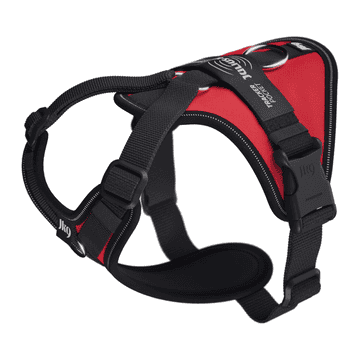IDC Longwalk Light - Red