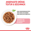 Kitten in  Sauce - Frischebeutel