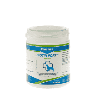 Biotin Forte Pulver