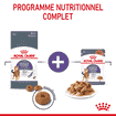 Appetite Control Gravy - Sachet