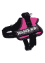Harnais PowerJulius-K9, Mini/M