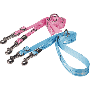 Laisse pour chien YoYo