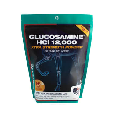 Glucosamine HCI 12000