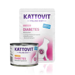 Diabetes Feline Diet